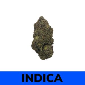 Buy Weed Online - Pink Rockstar - Canna Club Co