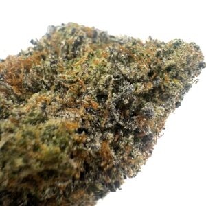 El Chapo Living Soil Organic