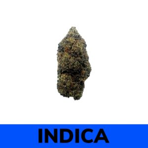 El Chapo Living Soil Organic