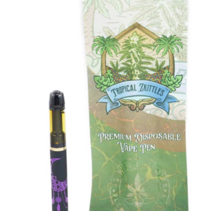 So High Extracts – THC Disposable Vape Pen (1G) - Canna Club Co