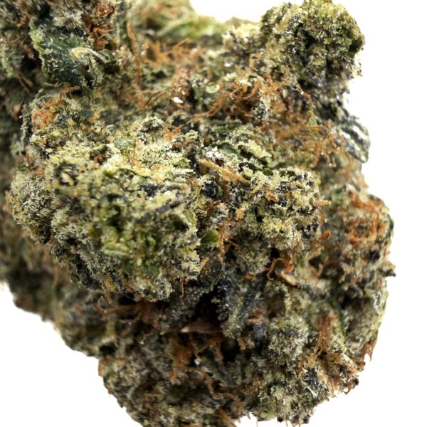Platinum Rockstar (AAA+) - Image 2