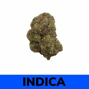 Platinum Rockstar (AAA+)