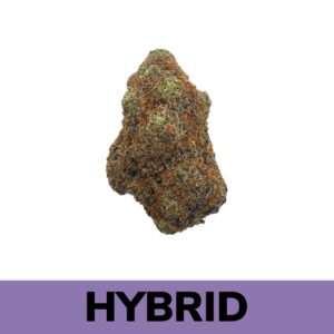 Buy Weed Online - Frozen Gelato