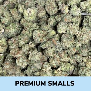 Pink Rockstar - Premium Smalls