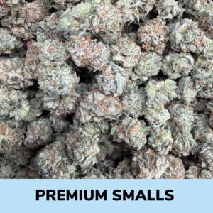Rockstar - Premium Smalls