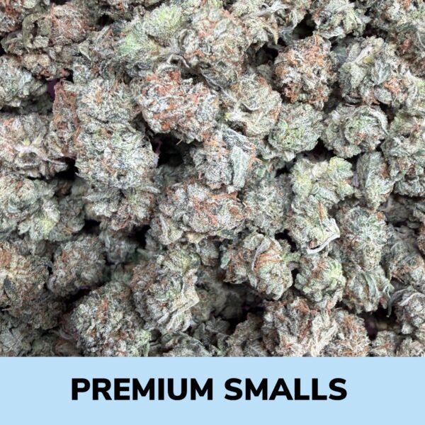 Rockstar - Premium Smalls