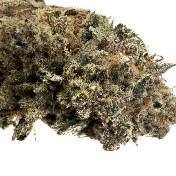 Biscotti (AAA+) - Image 2
