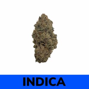 Biscotti (AAA+)