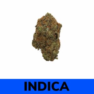 Black Gas (AAA)