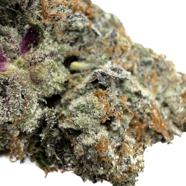 Pink Comatose - Living Soil Organic (AAAA) - Image 2