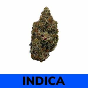 Pink Comatose - Living Soil Organic (AAAA)