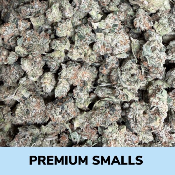 Pink Goo - Premium Smalls