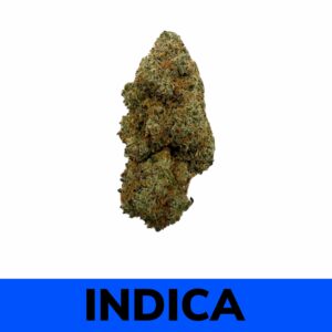 Animal Cookies (AAA) - Black Friday Special