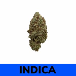 Blackberry Kush (AAA)