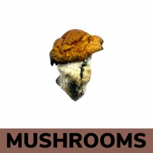 Mushrooms - Blue Pulaski