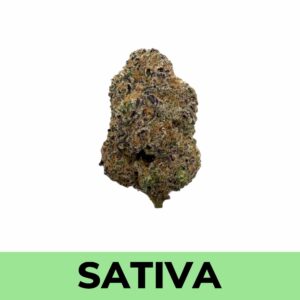 Buy Weed Online - Orange Crush