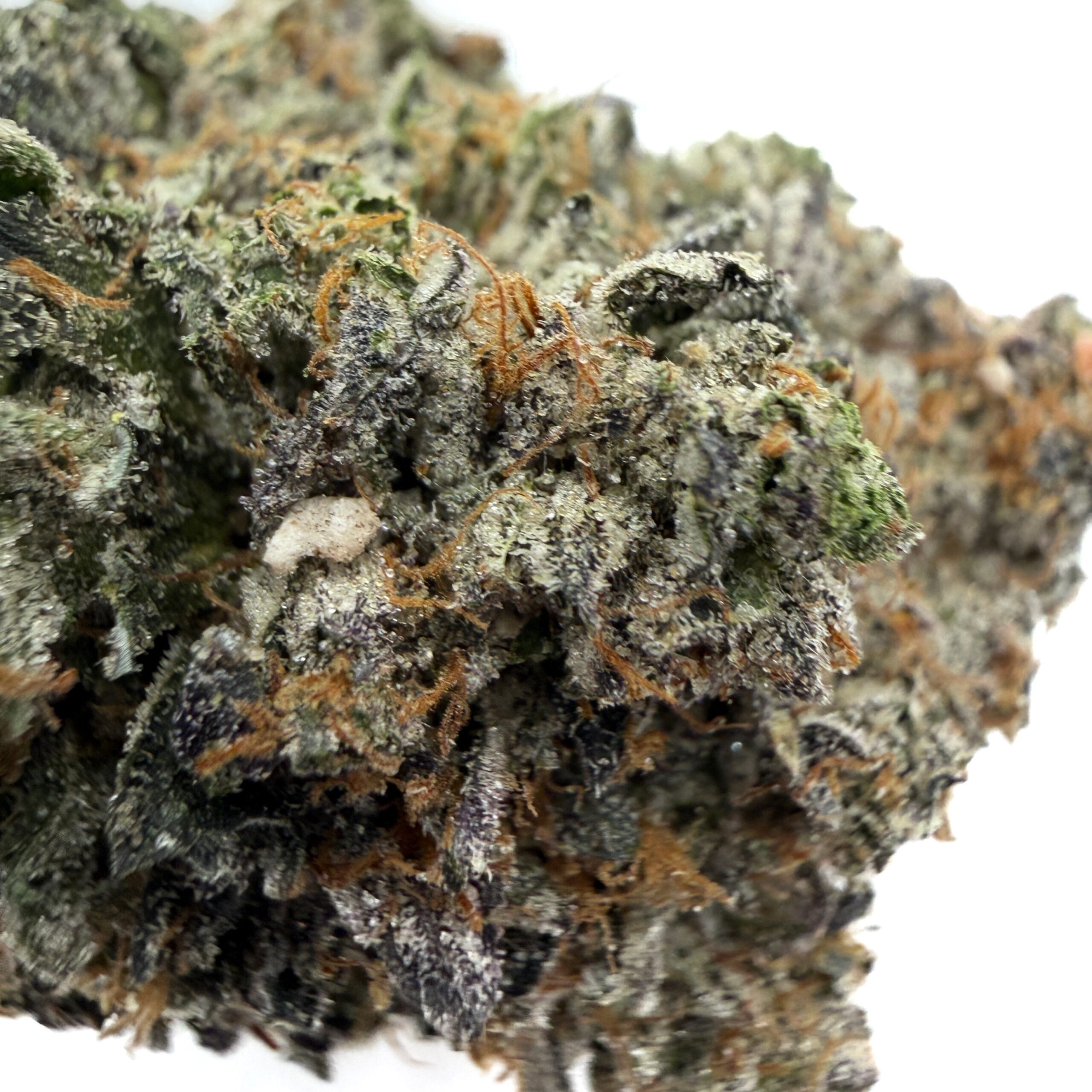 Four Star General (AAAA) - Image 2