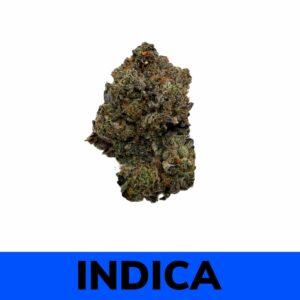 Four Star General (AAAA)