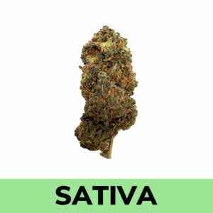 Buy Weed Online Trainwreck