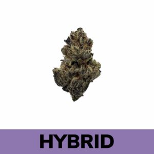 Frosted Fruit Cake (AAA+)