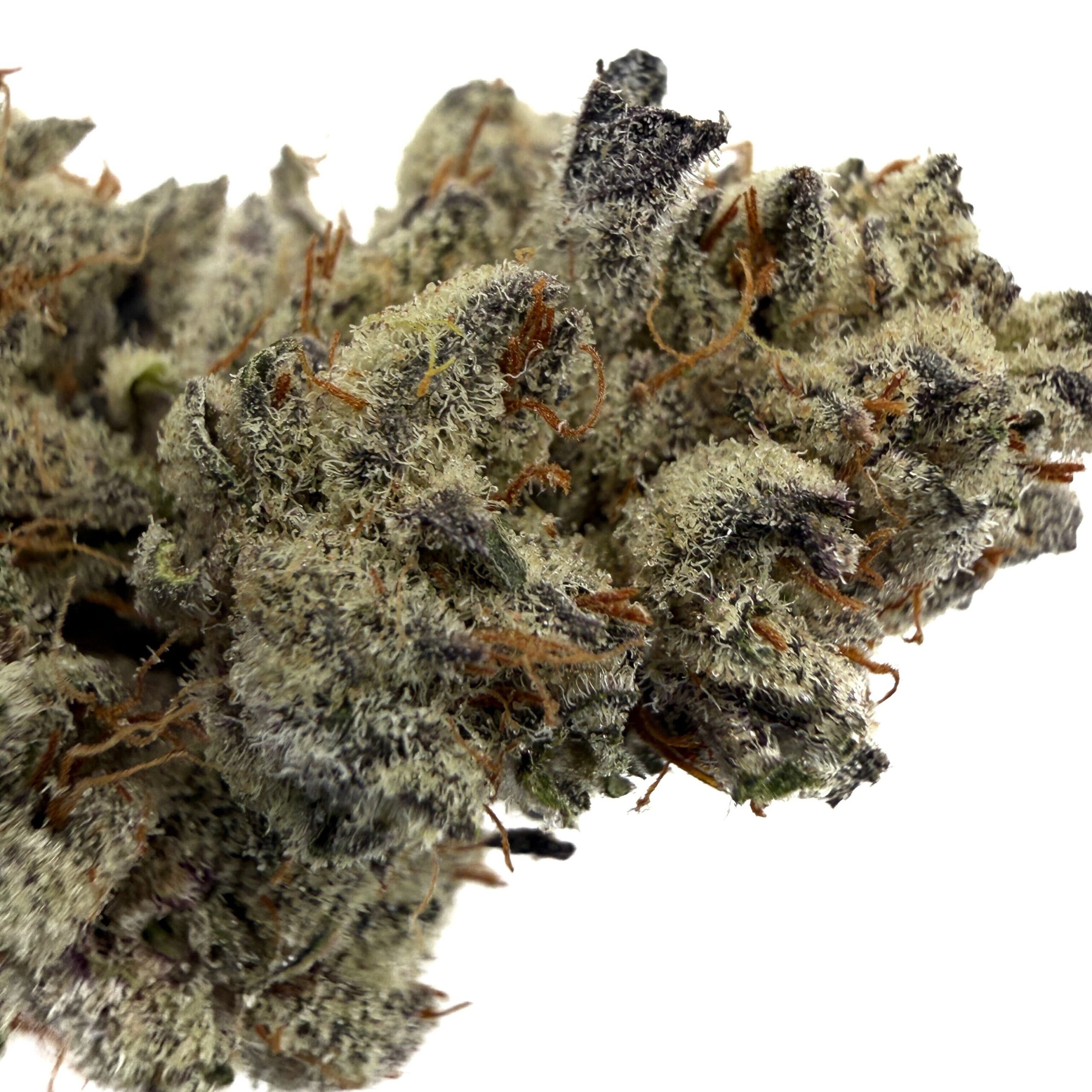 Frosted Fruit Cake (AAA+) - Image 2