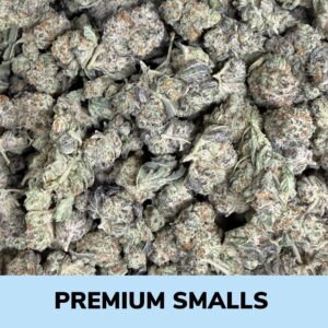 Hidden Pastry (AAA+) - Premium Smalls