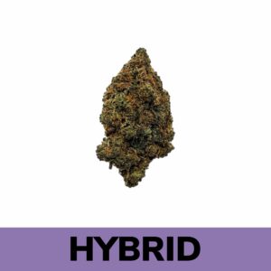 Girl Scout Cookies (AA)