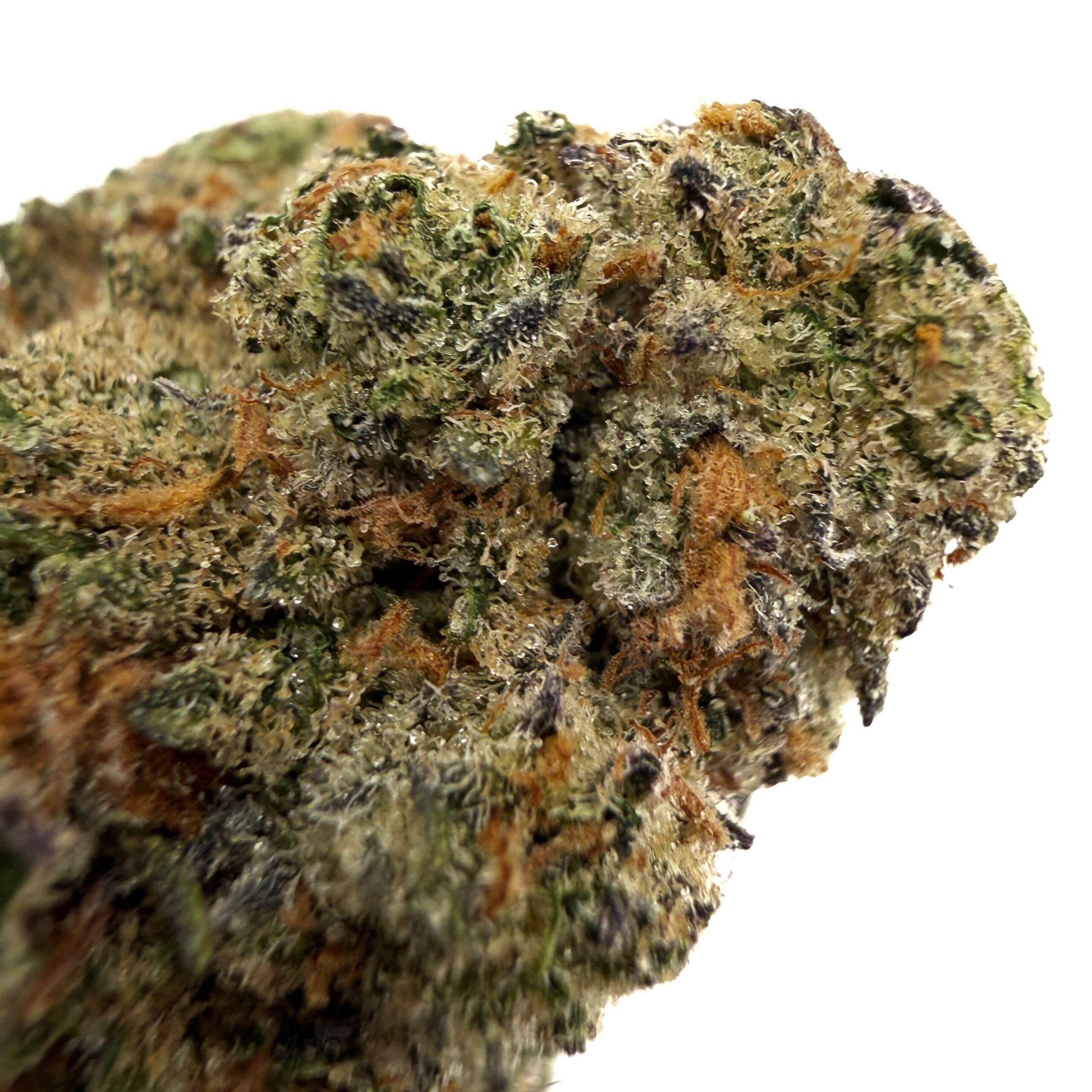 Purple Candy (AAA) - Image 2