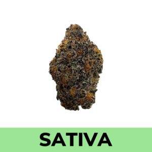 Mexican Gelato (AAA)