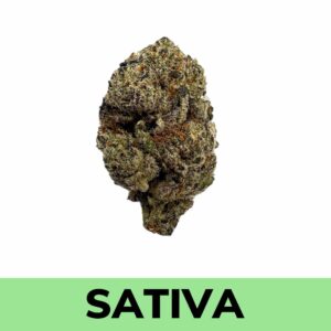 Tropicana Cookies (AA)