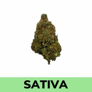 Weed Delivery - Lemon Skunk