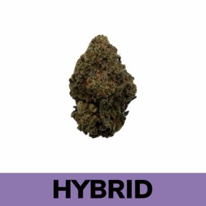 Weed Delivery - Lemon Cherry Gelato