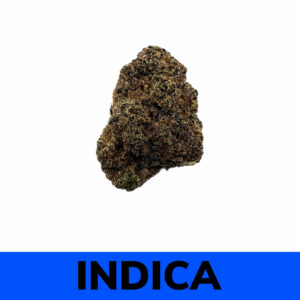 Biscotti (AAA)
