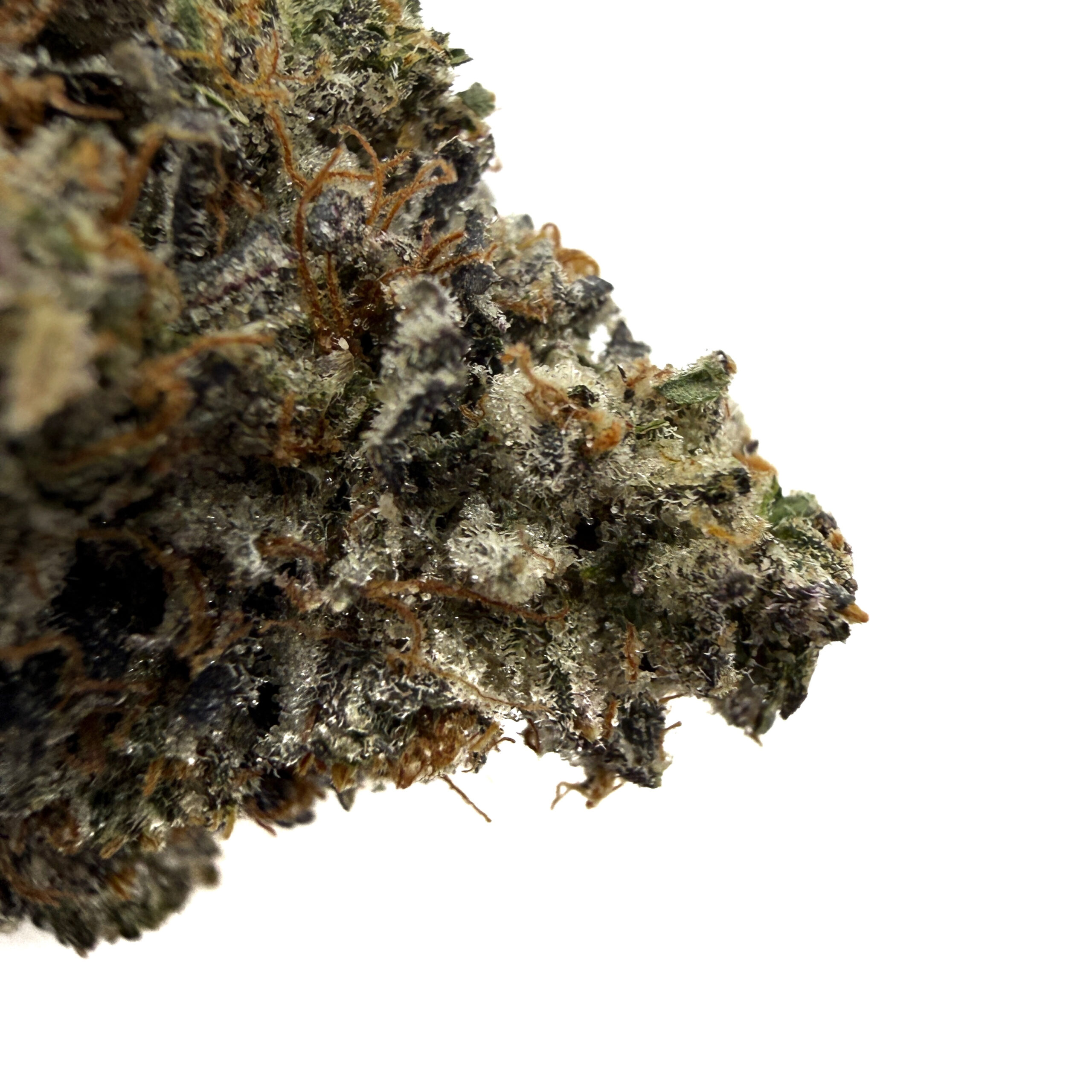 Death Pink - Living Soil Organic (AAAA) - Image 2