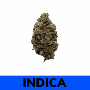 King Louis XIII (AAA)