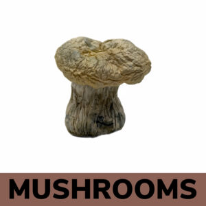 Mushrooms - Yeti