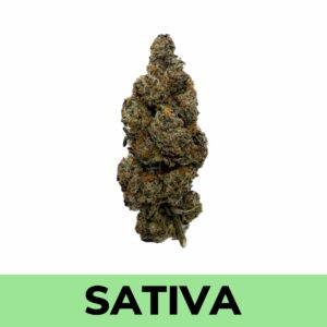 Buy Weed Online - Mango Mimosa
