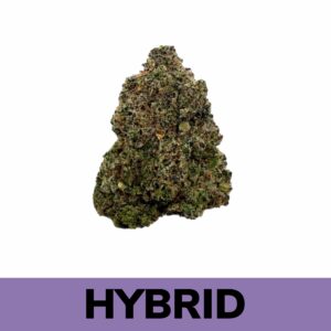 Weed Delivery - Gelato