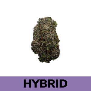 Weed Delivery - Gods Green Crack