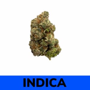 Pink Berry (AA)