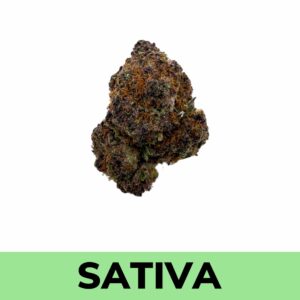 Tropicana Sour Diesel - Weed Delivery