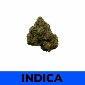 Godzilla (AAA+)