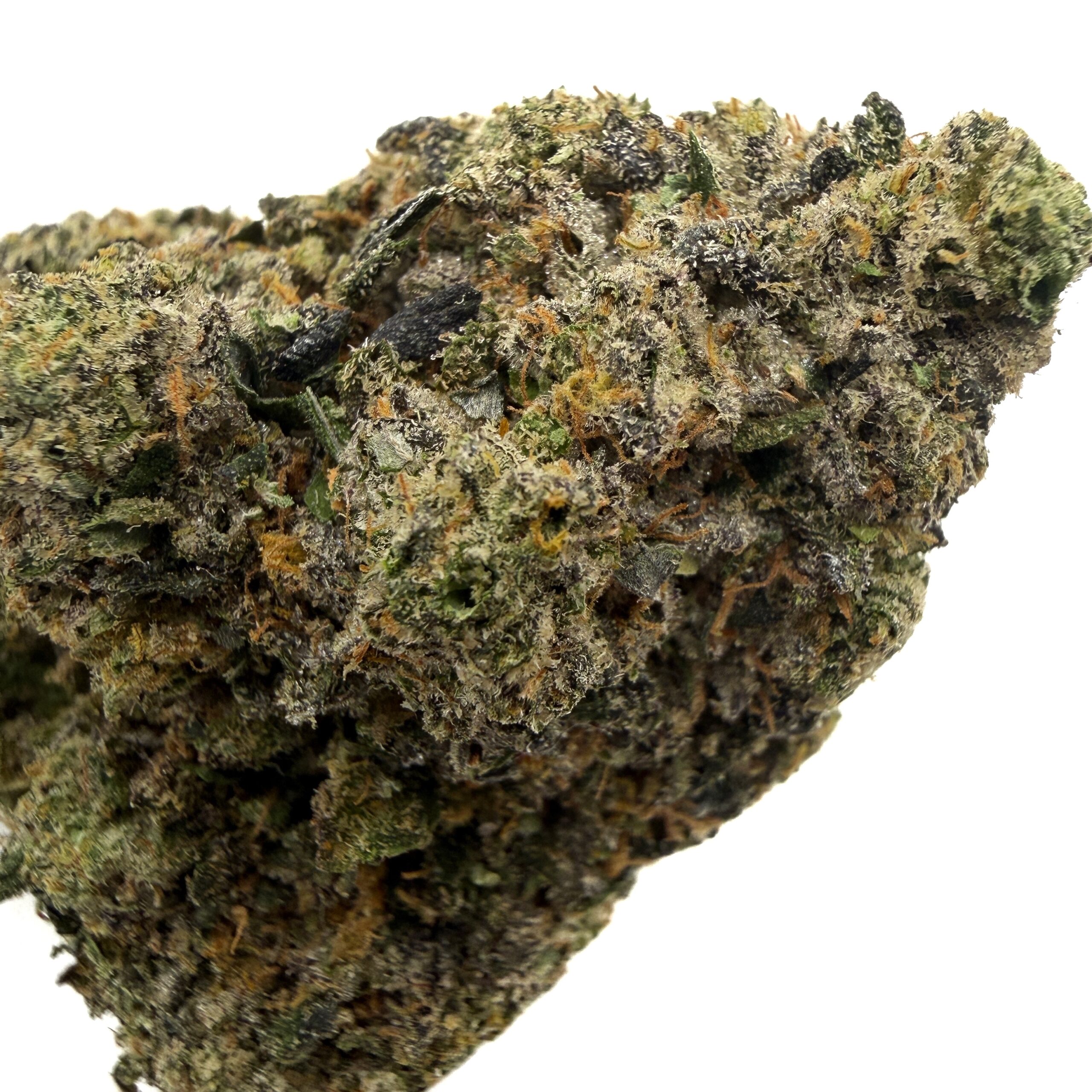 Jokerz (AAA+) - Image 2